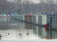 오빈낚시터 유료낚시터 > ****주말조황 정보및 방류소식 전합니다**** : 낚시사랑