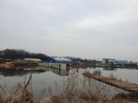 연곡낚시터 유료낚시터 > 2월20일(토) 물낚시 개장.조황 굿! : 낚시사랑