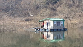 고삼지 양촌 유료낚시터 > 고삼지 양촌좌대 첫 조황입니다. : 낚시사랑