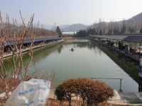 설동맨 유료터정보 > 밤꽃 : 낚시사랑