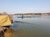 유료터정보 > 유료터점주조황 > 오늘도 내일도 이천성호낚시터.