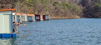 양평수곡낚시터 유료낚시터 > 양평 힐링 수곡낚시터 마지막주 주말 조황 및 붕어 방류 : 낚시사랑