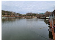 고잔낚시터 유료낚시터 > 3월 20일 개장합니다.(+주말~오늘 사진) : 낚시사랑