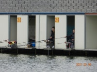 관리낚시터 유료낚시터 >  도심속의 작은 쉼터  : 낚시사랑