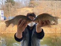 고삼지 양촌 유료낚시터 > 고삼지 최상류권 산란임박!!!! : 낚시사랑