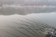 용담낚시터 유료낚시터 > 토종대물의 반란 : 낚시사랑