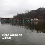 용대리낚시터 유료낚시터 > 개장풍경 및~~붕어 방류!!! : 낚시사랑