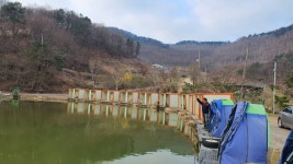 즐거운복상골 유료낚시터 > 이번 주말 개장식 합니다~~~ : 낚시사랑