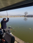 마전낚시공원 유료낚시터 > 3월의 마지막 조황소식 : 낚시사랑