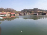 음성제수리지 유료낚시터 > ◐ 죄송합니다. ◐ : 낚시사랑