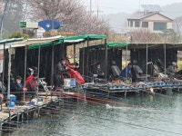 삼하낚시터 유료터정보 > ## (삼하) 난생처음의 행운 ## : 낚시사랑