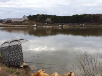 성호낚시터 유료낚시터 > 마릿수어망 속출 이천성호낚시터. : 낚시사랑