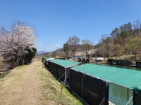 금광호수낚시터 유료터정보 > 4월8일 주중 조황입니다. : 낚시사랑