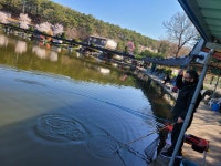 우금낚시공원 유료낚시터 > 모든것이 좋습니다^^ : 낚시사랑