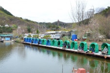 상덕낚시터 유료낚시터 > [상덕낚시터] 3월 마지막주 이야기 - 용인 상덕 : 낚시사랑