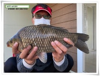 송도좌대 유료낚시터 > 4짜 셋 혹은 둘, 송전지 (송전낚시터) 송도집 좌대 조황. : 낚시사랑