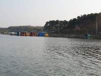 성호낚시터 유료낚시터 > 붕어야 놀~자 성호낚시터. : 낚시사랑