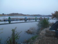 오목낚시 유료낚시터 > 오목낚시터 사월 둘째주 이만하면 대박조황 : 낚시사랑