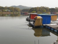 성호낚시터 유료낚시터 > 마릿수사진 많이주신날 성호낚시터. : 낚시사랑