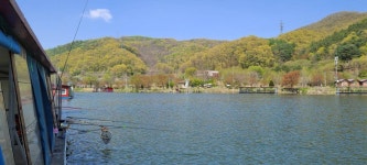 양평수곡낚시터 유료낚시터 > 양평힐링 수곡낚시터 4월넷째주 주초 조황및 금일 붕어방류 : 낚시사랑