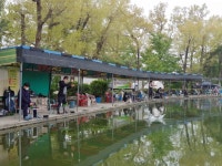 우금낚시공원 유료낚시터 > 확연히 좋아진 조황이 느껴집니다. : 낚시사랑