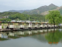 오빈낚시터 유료낚시터 > **** 주말방류 및 조황정보 **** : 낚시사랑