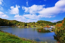 상곡낚시터 유료낚시터 > 토종붕어 전문 낚시터~~ 토종붕어 월척에서 4짜 이상급 대량방류 모습................조황 : 낚시사랑