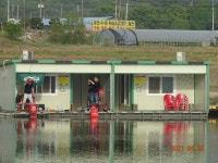 오빈낚시터 유료낚시터 > **** 주중조황 및 방류안내 **** : 낚시사랑