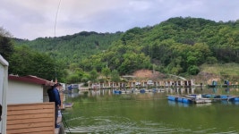 즐거운복상골 유료낚시터 > 장어 방류 시작합니다~~~ : 낚시사랑