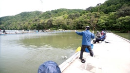 유정낚시터 유료낚시터 > 2021 / 05 / 01 유정지 대박 송어 조황~ : 낚시사랑