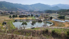 서곡 유료낚시터 > 토종붕어가 연실 올라옵니다~! : 낚시사랑