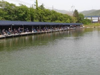 삼하낚시터 유료낚시터 > ## (삼하) 어버이날 선물잔치 ## : 낚시사랑