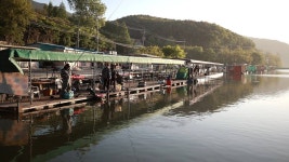 유정낚시터 유료낚시터 > 유정낙시터 대물 철갑상어~ : 낚시사랑