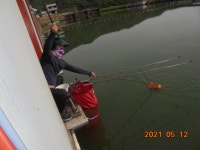 대석낚시터 유료낚시터 > 방류와 주중 스케치.. : 낚시사랑