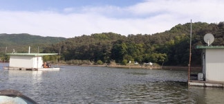 어우실지. 유료낚시터 > 좌대조황 아주만족하다고 합니다 역시 어우실 : 낚시사랑