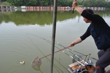 고담낚시터 유료낚시터 > 주말조황입니다 . : 낚시사랑