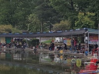 우금낚시공원 유료낚시터 > 비오는주말과 최고의활성도 : 낚시사랑