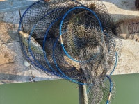 신기 낚시터 유료낚시터 > 5월 둘 째주 조황정보 : 낚시사랑