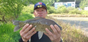 두창낚시터 유료낚시터 > 대물붕어^^ : 낚시사랑