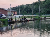 남전지기 유료낚시터 > 주중 챔질채미 유투버 촬영 : 낚시사랑