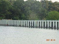 오빈낚시터 유료낚시터 > **** 2주연속 폭팔적인 주말조황 **** : 낚시사랑