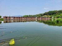 우금낚시공원 유료낚시터 > 주말조황및 현시각 : 낚시사랑