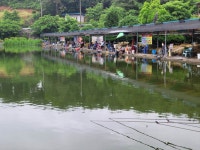 우금낚시공원 유료낚시터 > 비와함께한 주중조황 : 낚시사랑