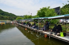 상덕낚시터 유료낚시터 > [상덕낚시터] 5월 3주차 이야기 - 용인 상덕 : 낚시사랑