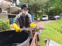 양평메기전용피쉬랜드 유료낚시터 > 양평 피쉬랜드 메기 전용 철갑상어 낚시터!! 5월29일 방류및 28일 조황정보입니다 : 낚시사랑