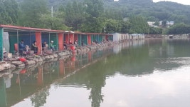 안성 거청낚시터 유료낚시터 > 5월 30일 배수없는 안성 거청낚시터 붕어조황 : 낚시사랑