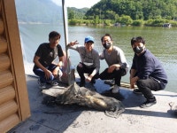 송석지낚시터 유료낚시터 > 송석지5월31일 : 낚시사랑