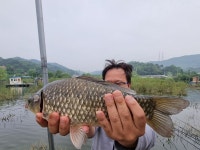 고삼 느티나무좌대 유료낚시터 > 벼락을 동반한 강한 비바람-.-;... : 낚시사랑