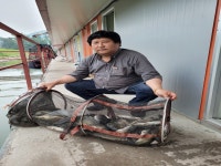 초원낚시터 유료낚시터 > ****6월2일조황소식**** : 낚시사랑