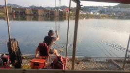 안성 거청낚시터 유료낚시터 > 6월 6일 배수없는 안성 거청낚시터 붕어조황 : 낚시사랑